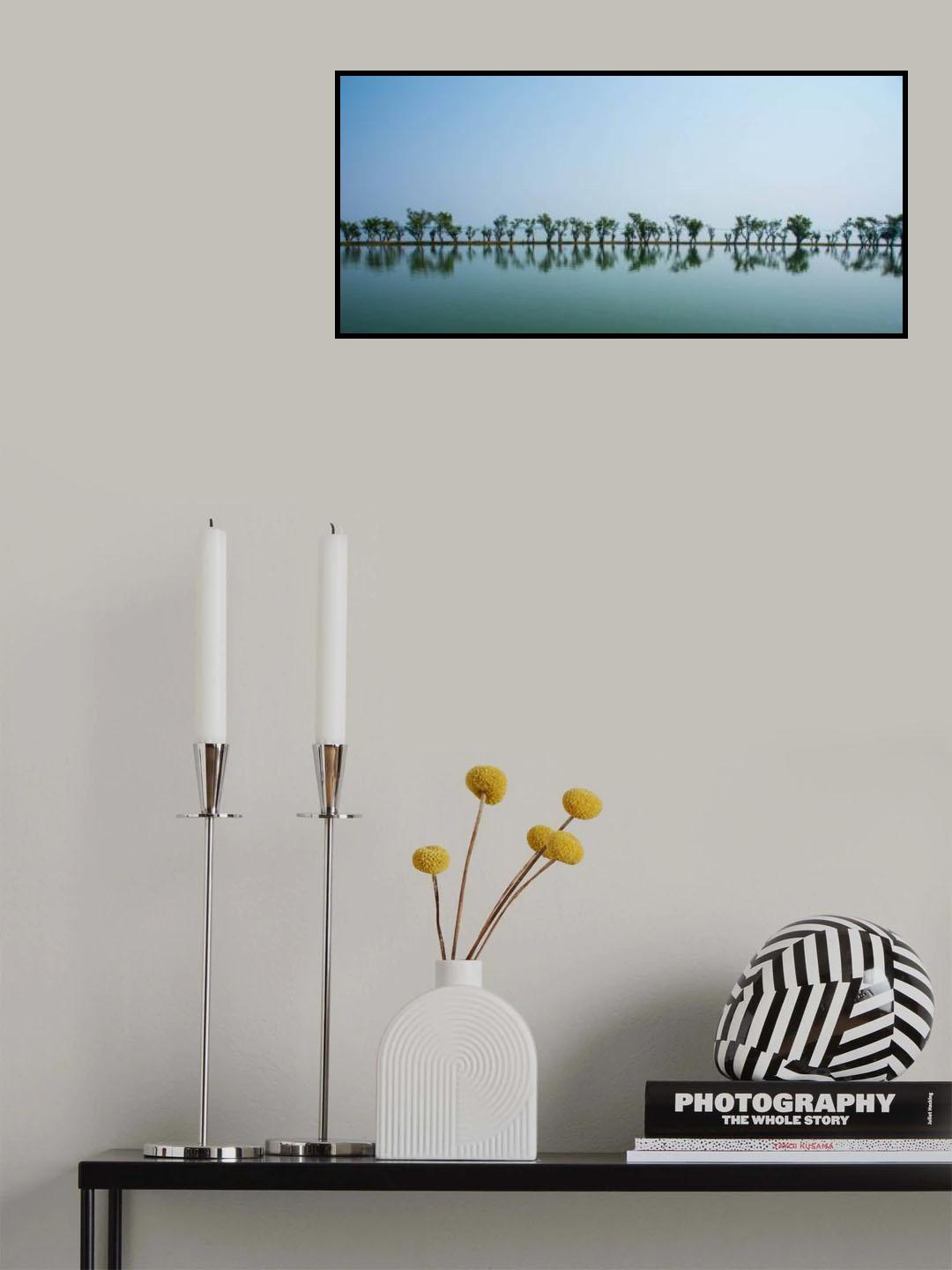 Reflection of wetland trees Poster och Canvastavla