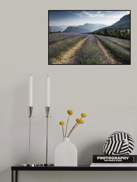 Lavender Hills Poster och Canvastavla