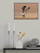 The Buzzard's dance Poster och Canvastavla