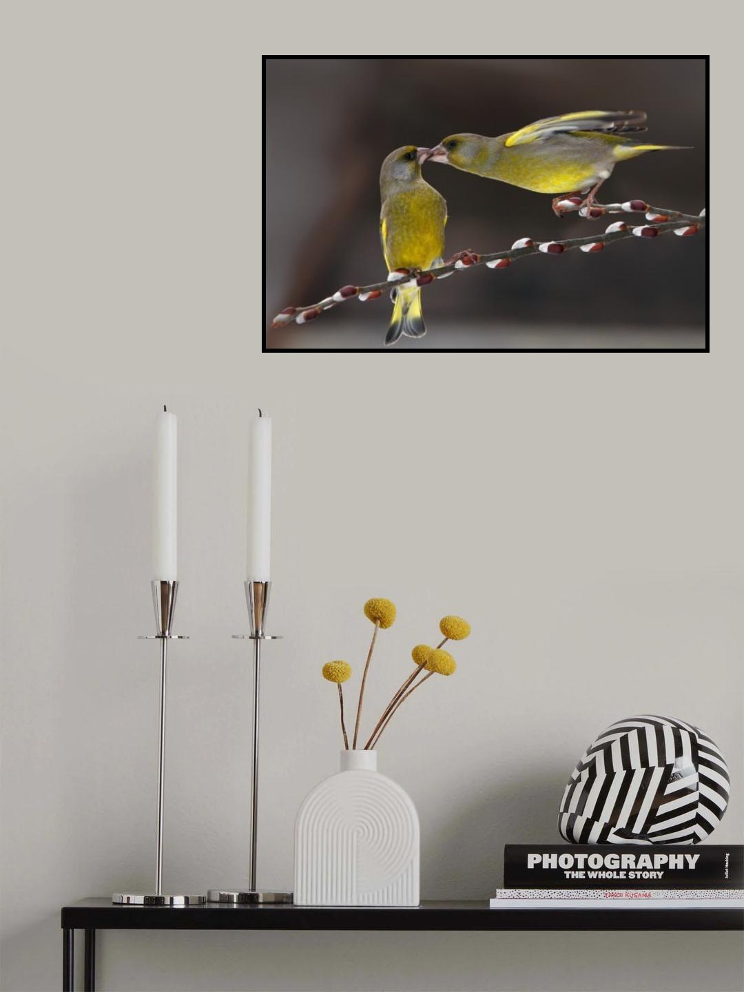 Love on brach Poster och Canvastavla