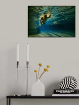 Night Swimmer Poster och Canvastavla
