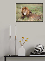 The King Poster och Canvastavla