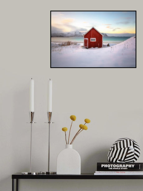 under an arctic sky Poster och Canvastavla