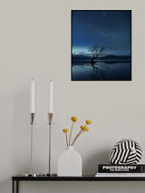 Wanaka tree Poster och Canvastavla