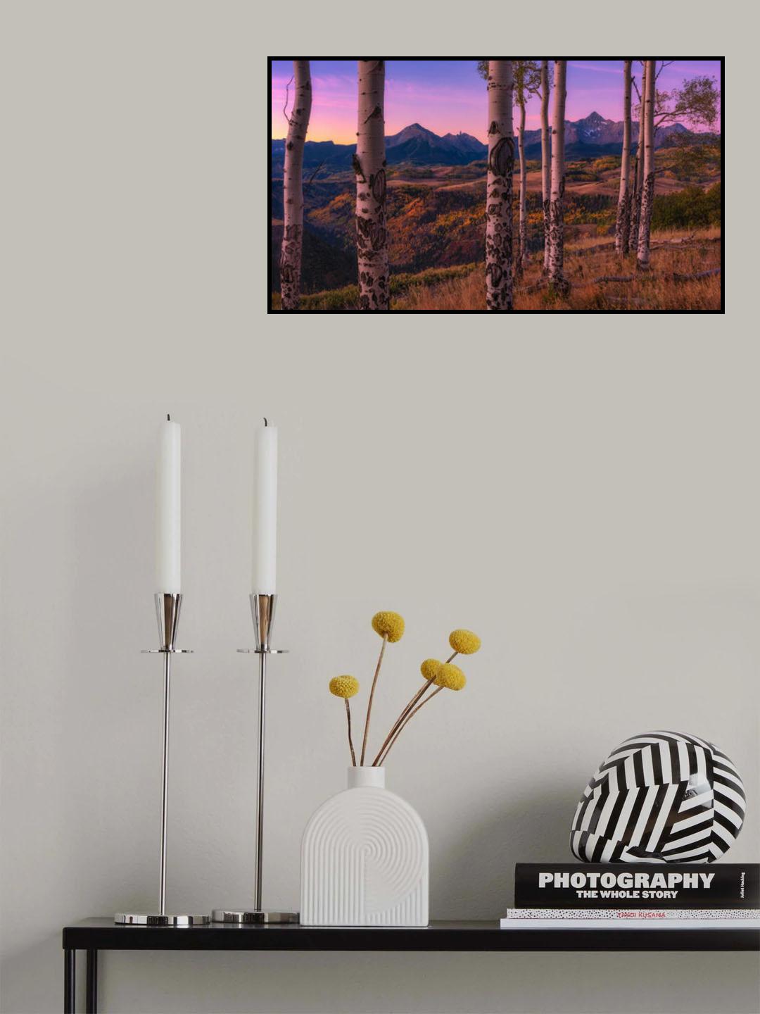 Aspen Frames Poster och Canvastavla