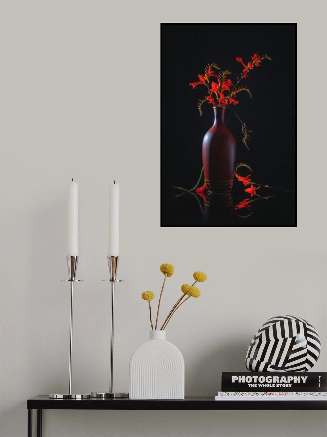 Red Lucifer flower Poster och Canvastavla
