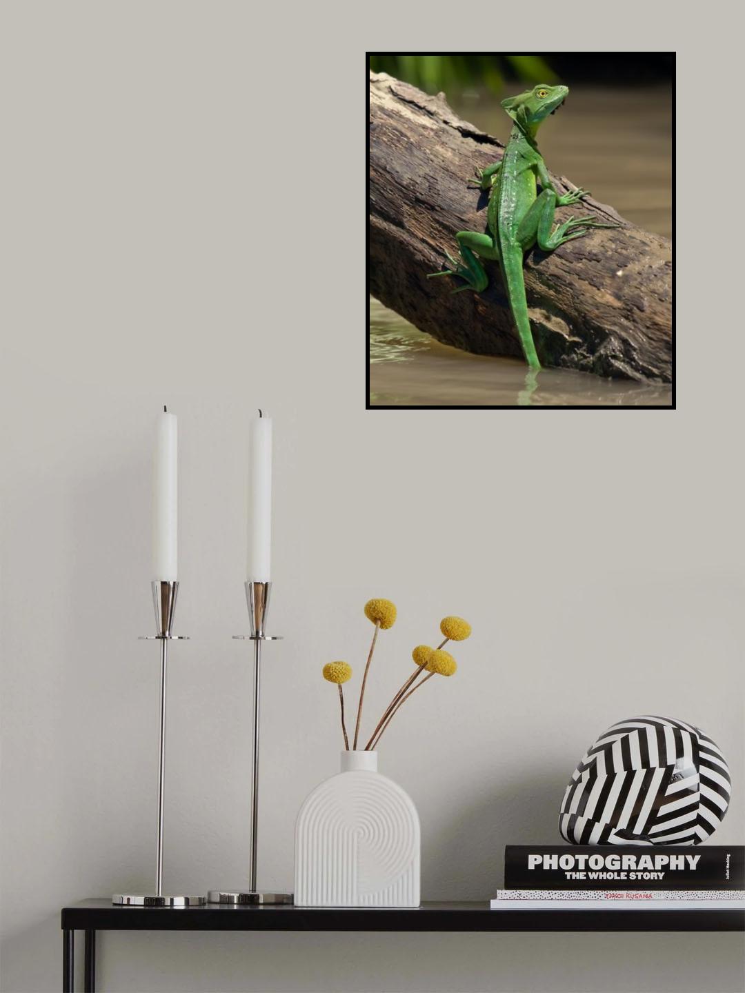 Basiliscus Poster och Canvastavla