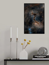 The Seahorse Nebula Poster och Canvastavla