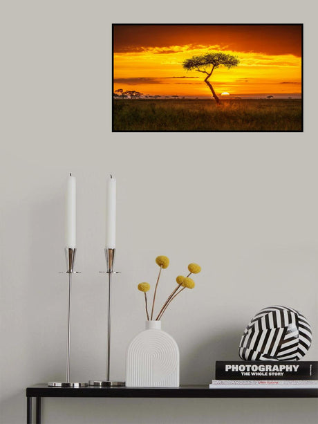 Primordial Africa Poster och Canvastavla