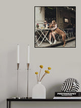 me, you and the dog Poster och Canvastavla