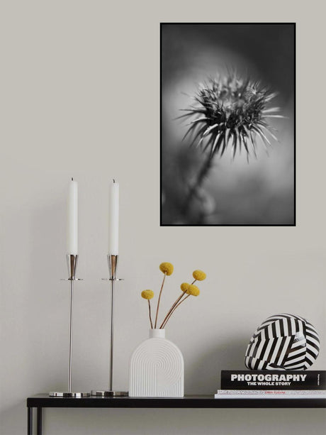 prickly desert plant Poster och Canvastavla