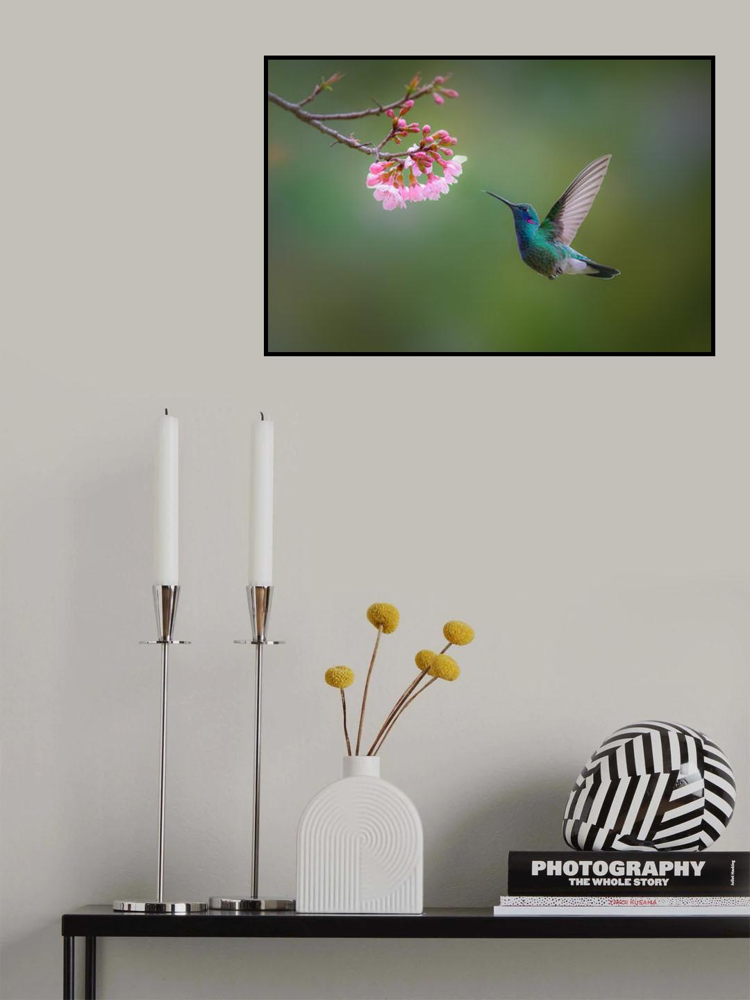 Fronte-violeta Poster och Canvastavla