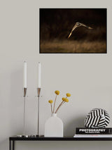 Flying to me Poster och Canvastavla