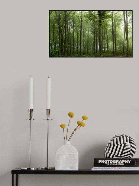 Forest... Poster och Canvastavla