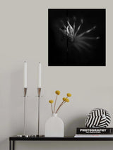 Pole Dancer Poster och Canvastavla