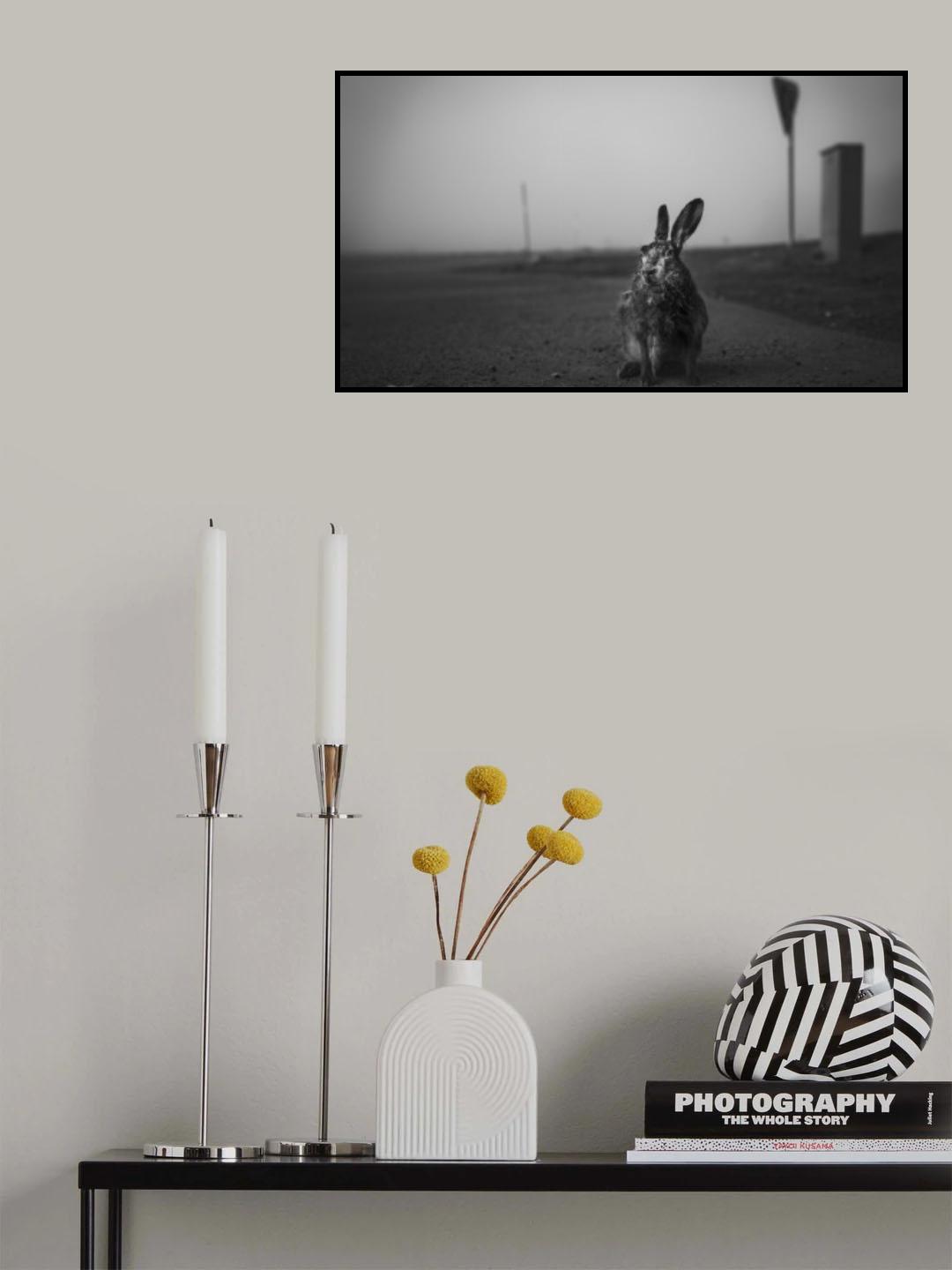 Bruised hare Poster och Canvastavla
