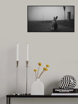 Bruised hare Poster och Canvastavla