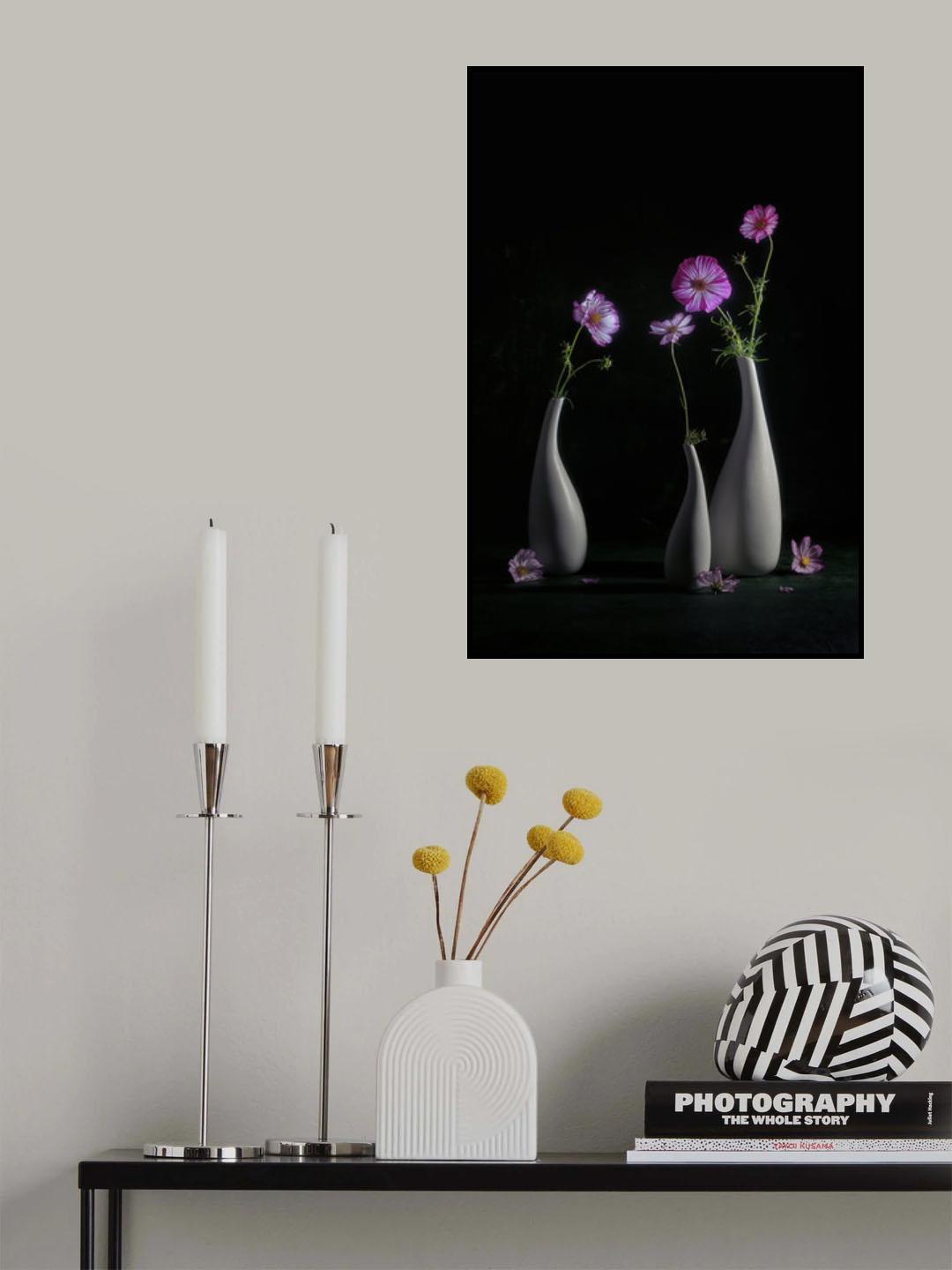 Elegant Cosmos Poster och Canvastavla