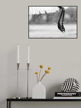 Taking Off Poster och Canvastavla