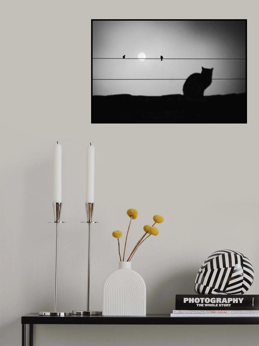 Poster och Canvastavla