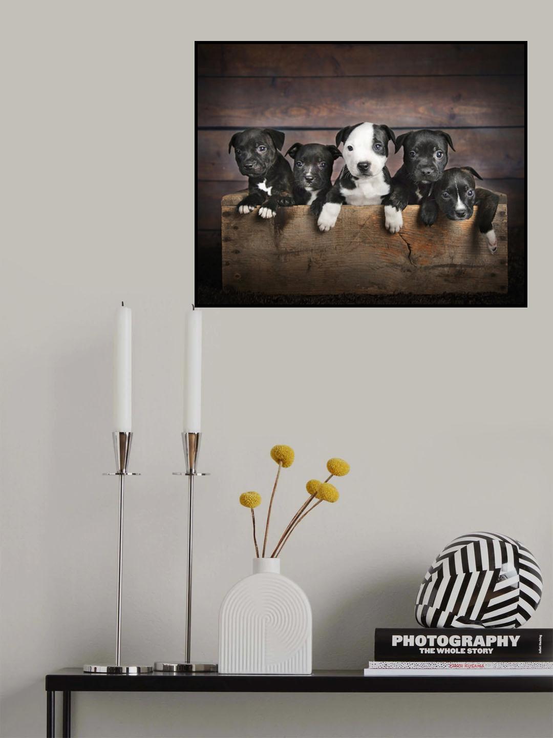 Trouble Makers Poster och Canvastavla