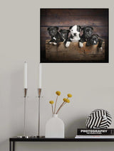 Trouble Makers Poster och Canvastavla