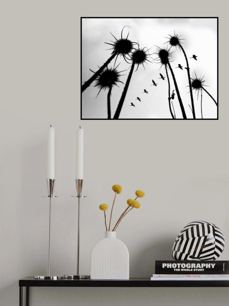 Silhouette of Common Teasel plant Poster och Canvastavla