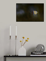 Have a rest Poster och Canvastavla