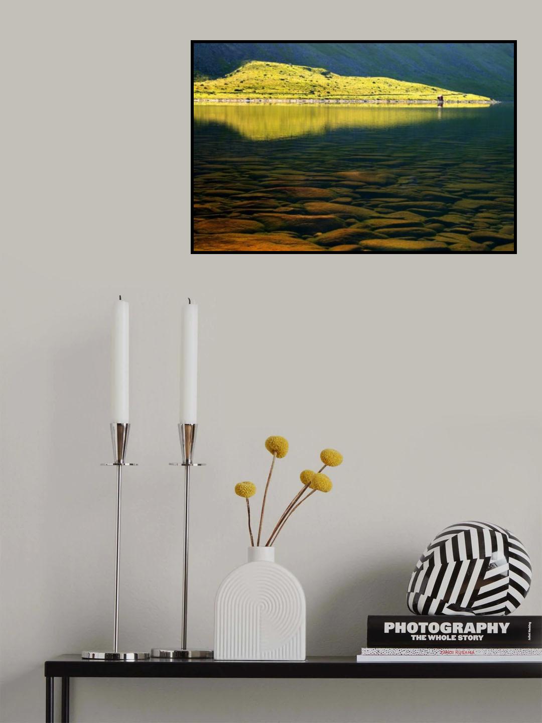 Shallow water Poster och Canvastavla