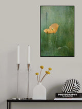 Poppy Poster och Canvastavla