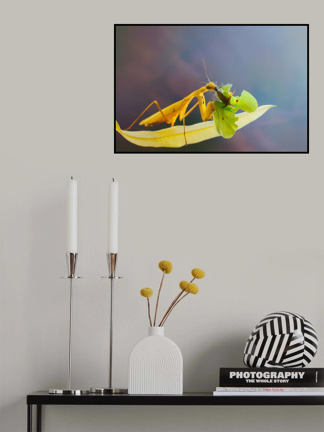 Sloppy eater Poster och Canvastavla