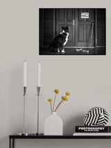Beware of the Owner Poster och Canvastavla
