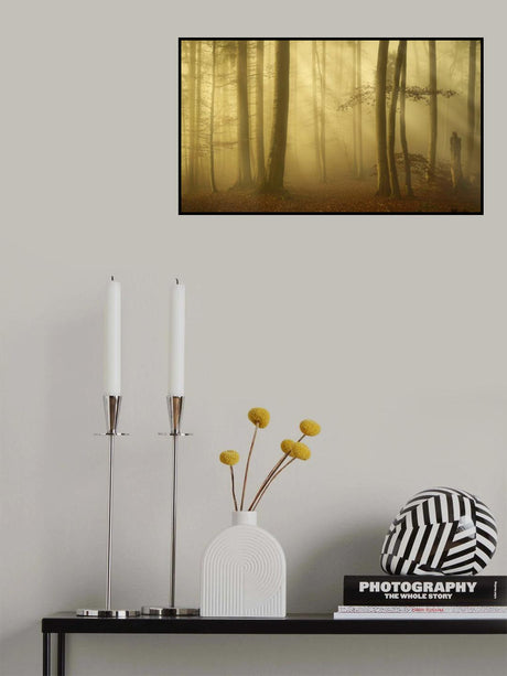 Sunlit autumn morning Poster och Canvastavla