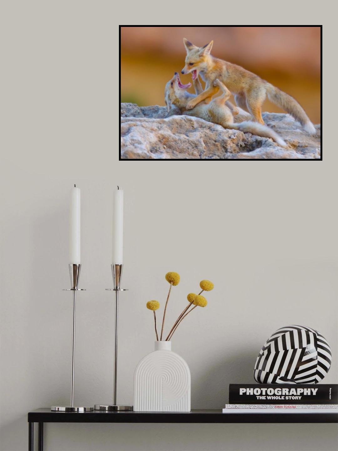Fox family Poster och Canvastavla