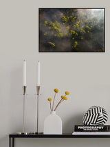 The color of spring Poster och Canvastavla