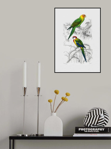 Birds Poster och Canvastavla