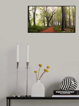 Follow the red path. Poster och Canvastavla