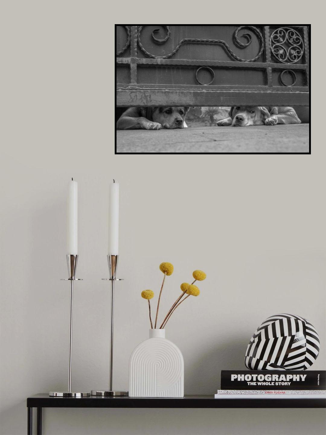 Is the world outside wonderful? Poster och Canvastavla
