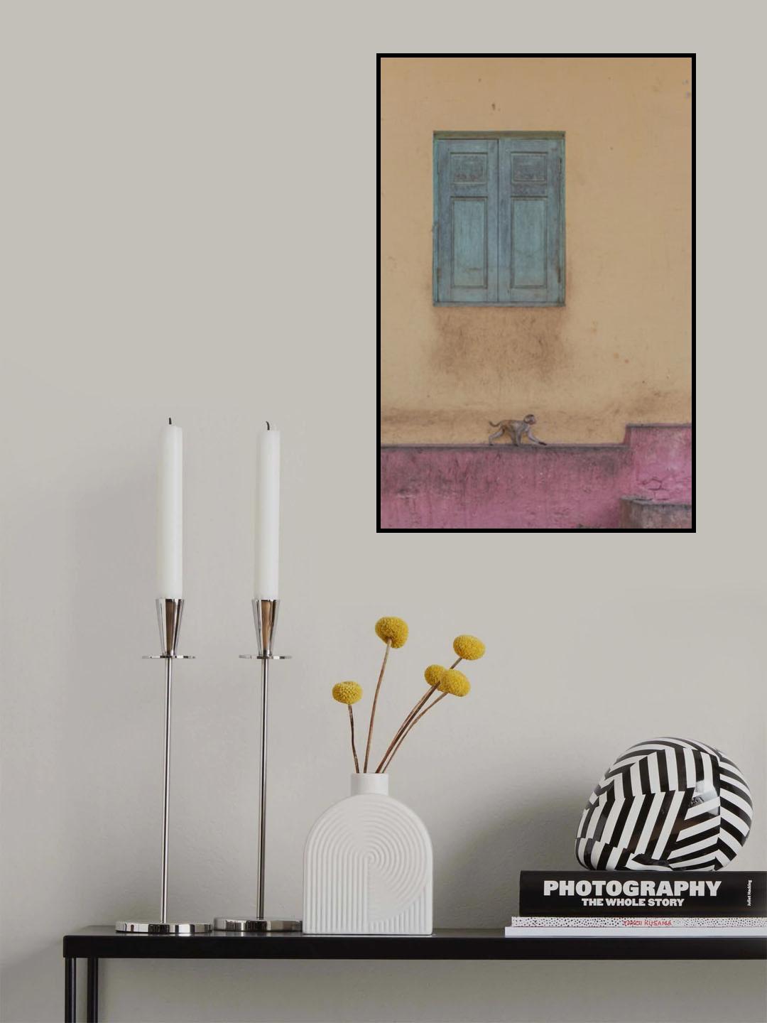 Monkey stroll Poster och Canvastavla