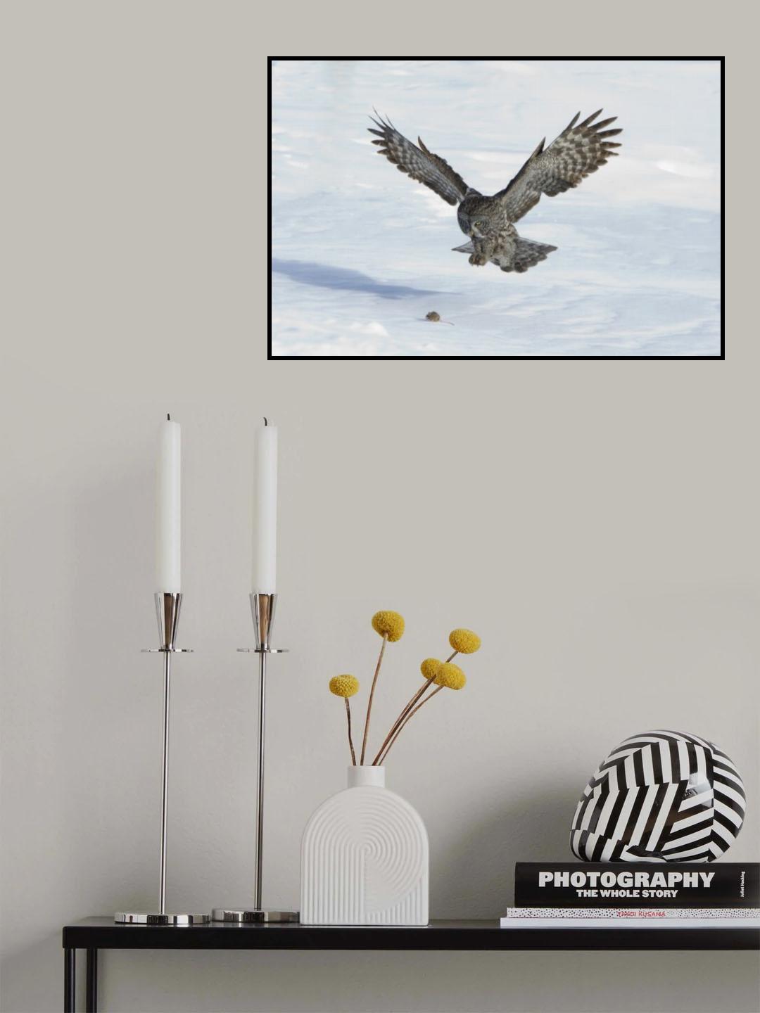 Danger from above Poster och Canvastavla