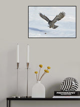 Danger from above Poster och Canvastavla