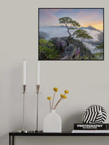 Spring, fallen wing Poster och Canvastavla
