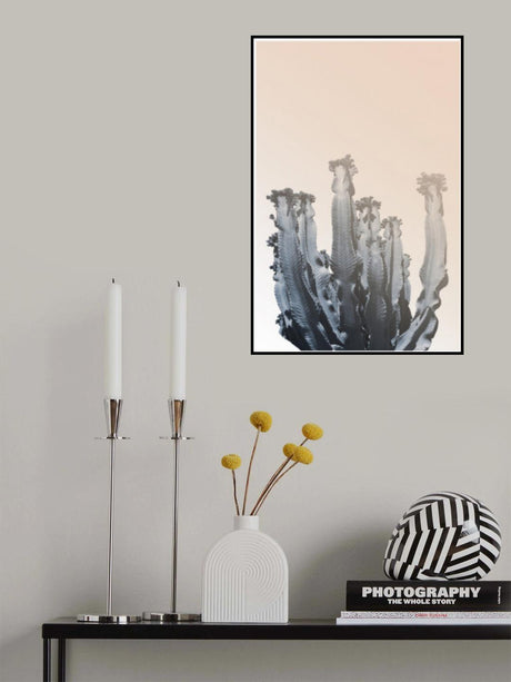 Boho Cactus No.3 Poster och Canvastavla