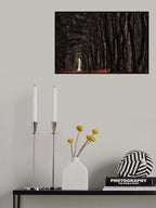 Darkness come alive Poster och Canvastavla