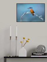 Fishing in winter Poster och Canvastavla
