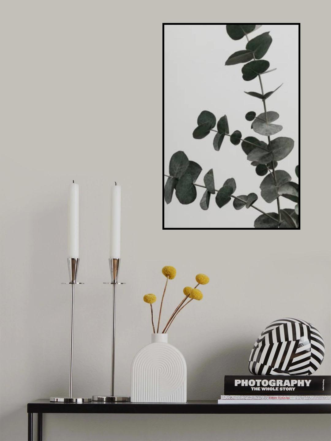 Eucalyptus Natural 05 Poster och Canvastavla