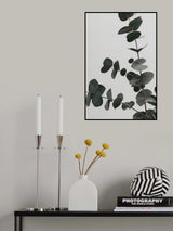 Eucalyptus Natural 05 Poster och Canvastavla