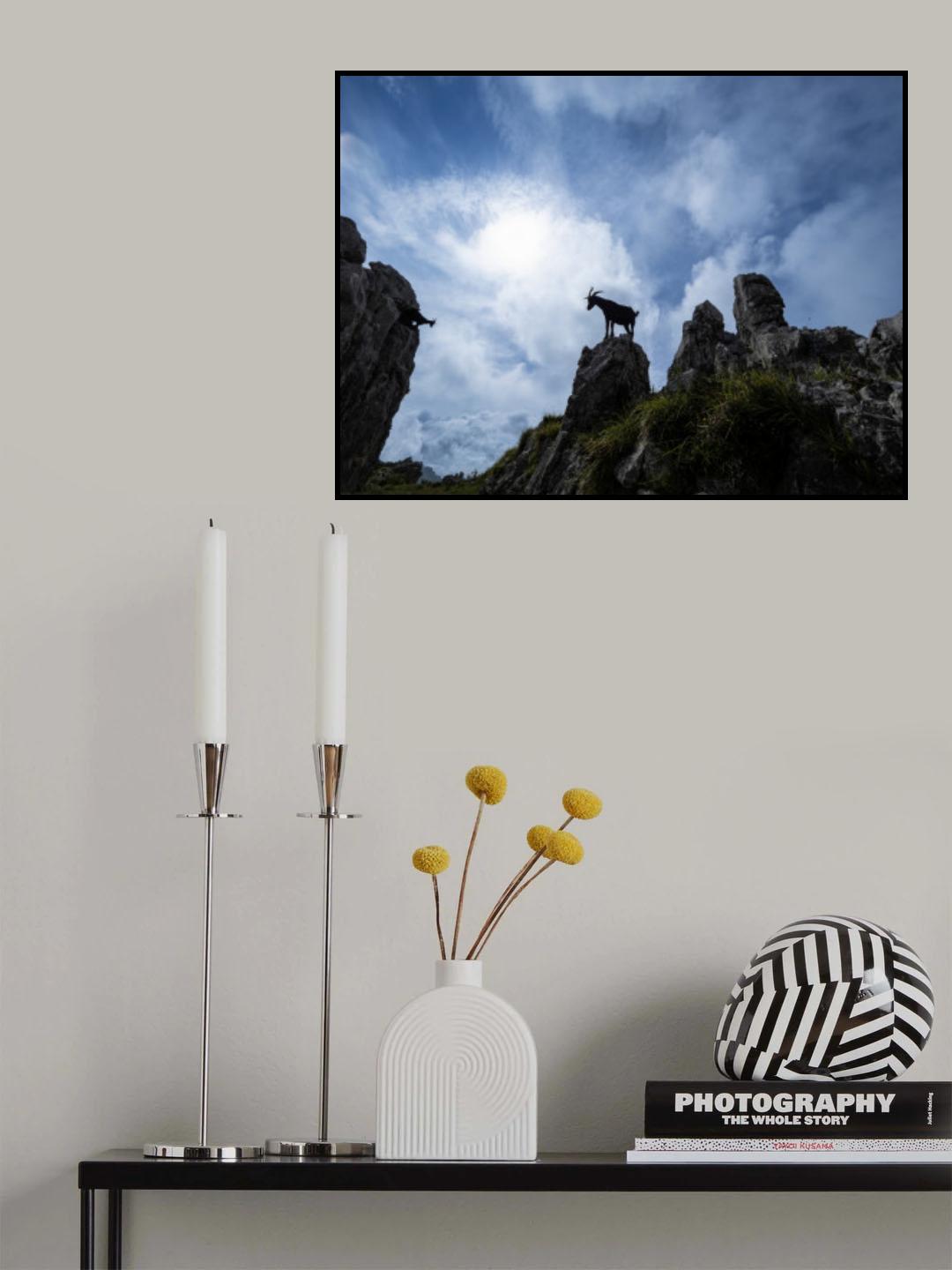 The passage of the goats Poster och Canvastavla
