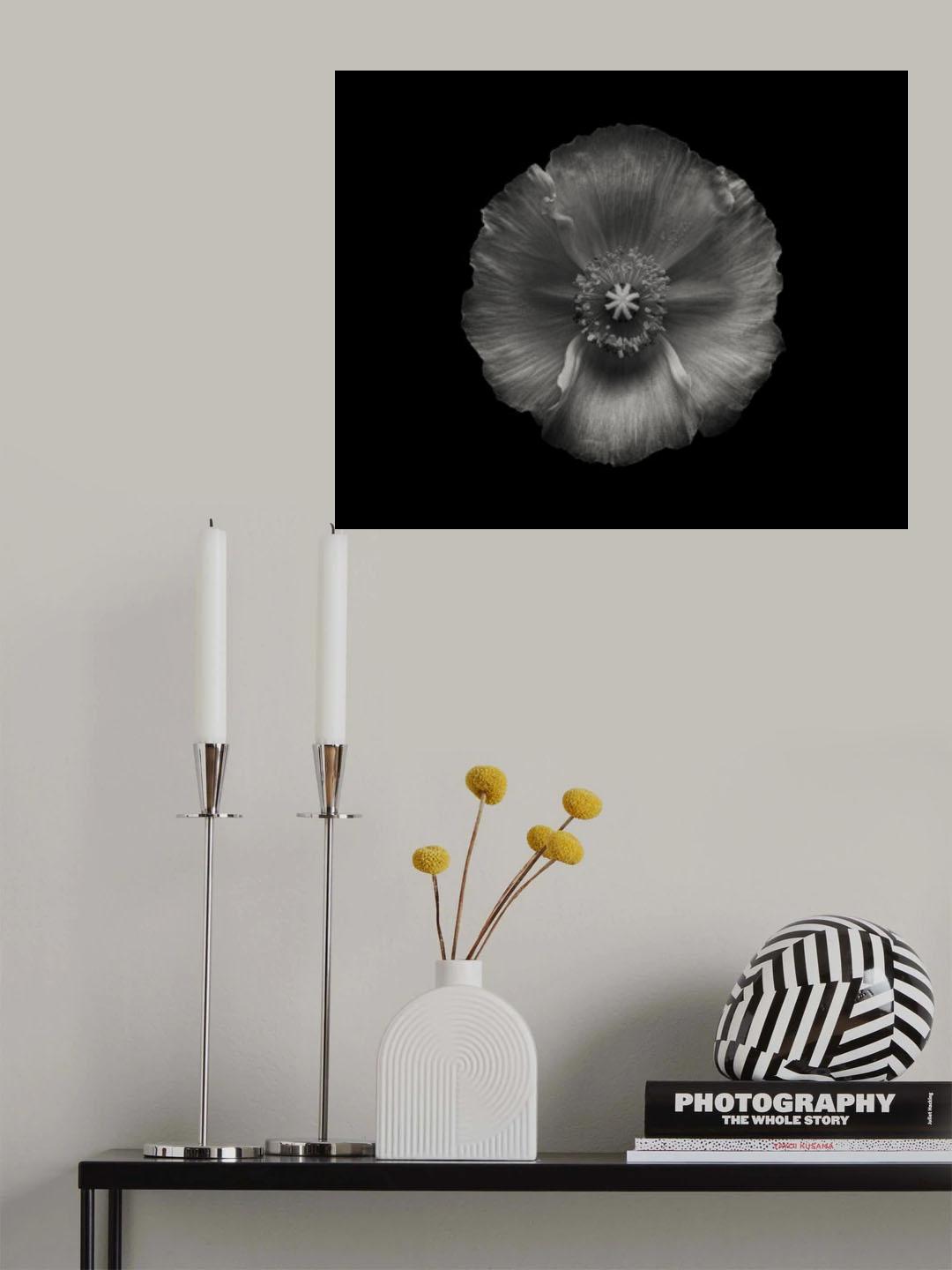 Poppy Poster och Canvastavla
