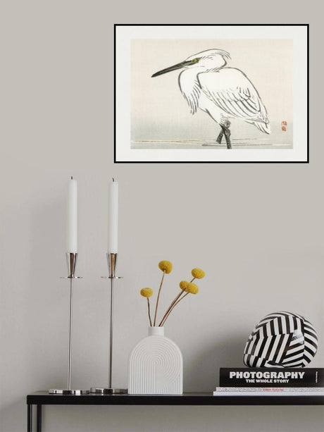 Snowy Egret Poster och Canvastavla
